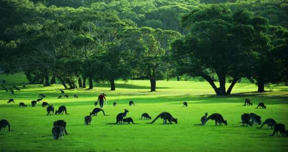 8 amazing Australian golf courses you must play - image 3rdpart-big4-image6 on https://www.deltafinancialgroup.com.au