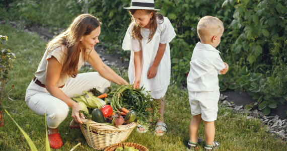 The Australian generational wealth divide